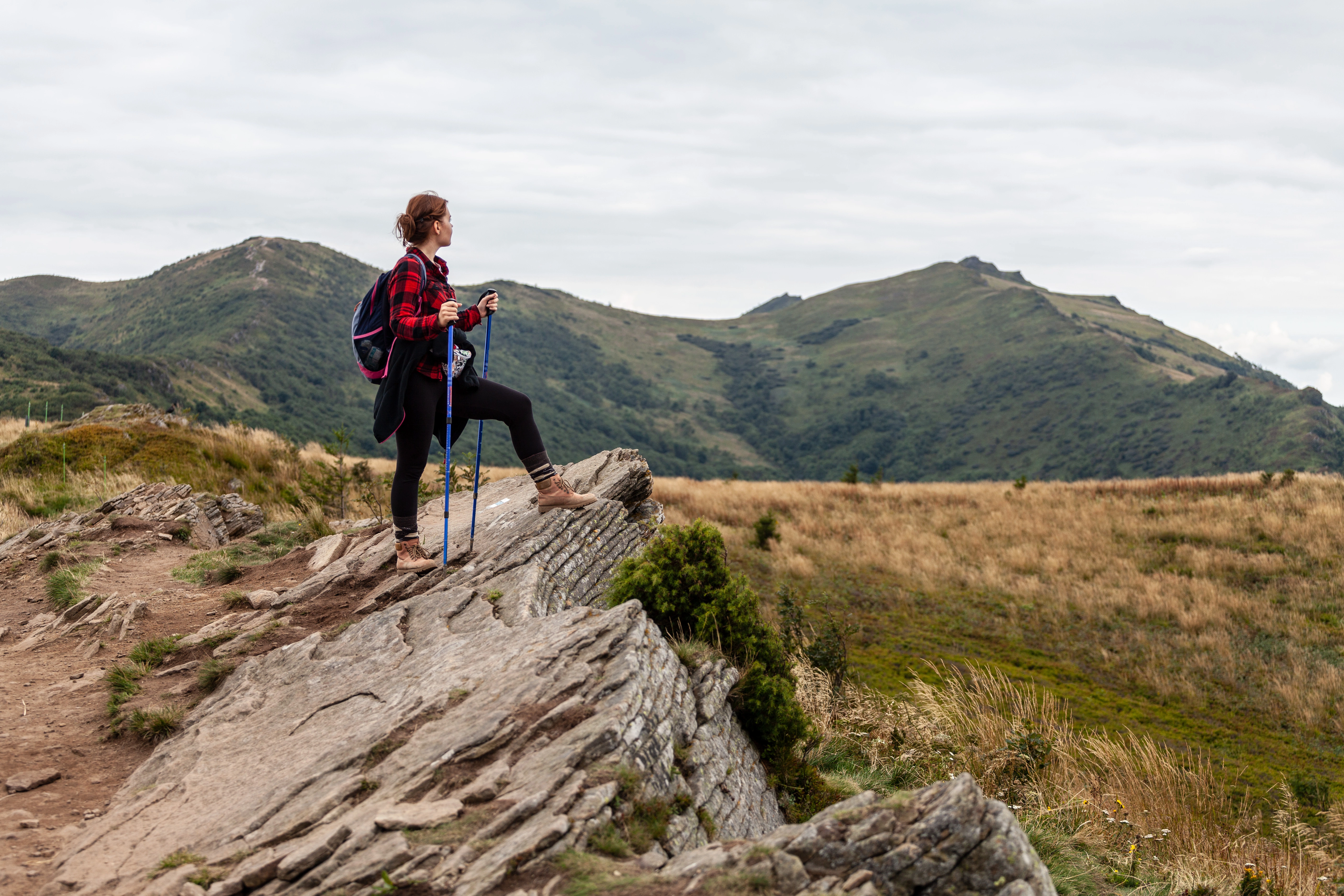 Independent traveler